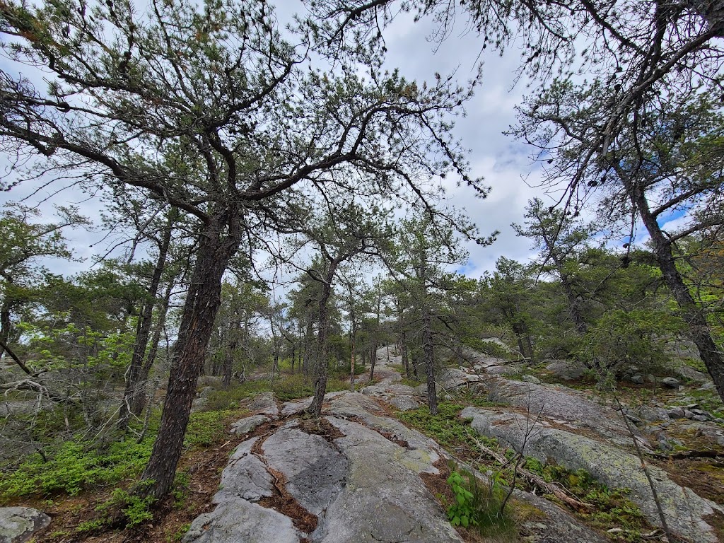 Sentier du Cabouron de Saint-Germain | 429 Rte de St Germain, Saint-Germain, QC G0L 3G0, Canada | Phone: (418) 492-9771