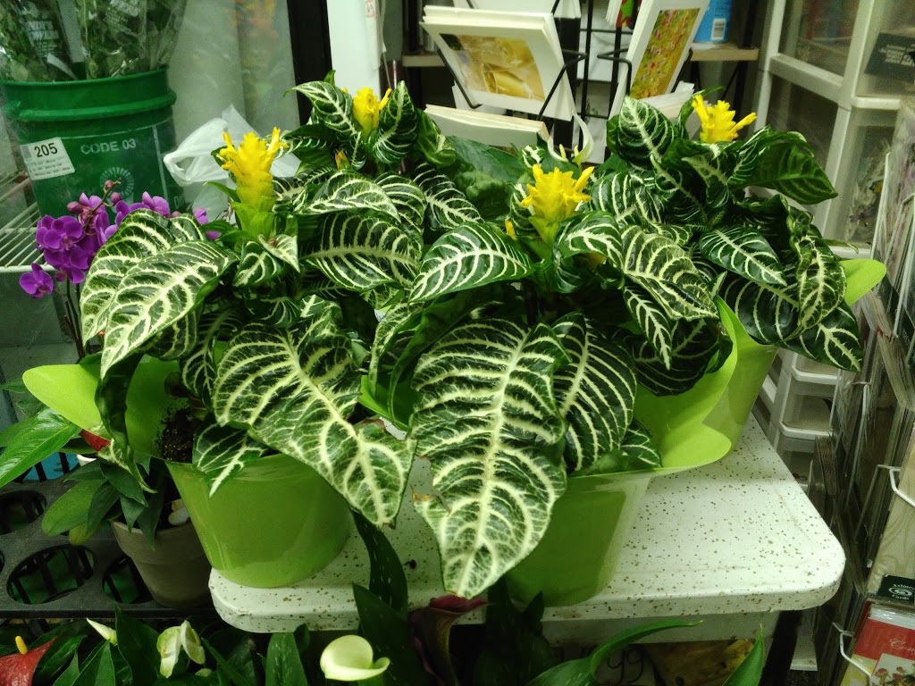 St Clair Flowers | 2781 St Clair Ave E, East York, ON M4B 1N1, Canada | Phone: (647) 348-3389