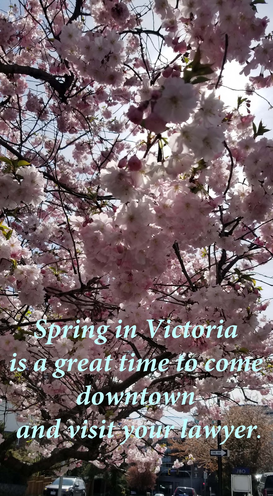 Vangenne & Company Law | 777 Blanshard St B, Victoria, BC V8W 2G9, Canada | Phone: (250) 388-5136