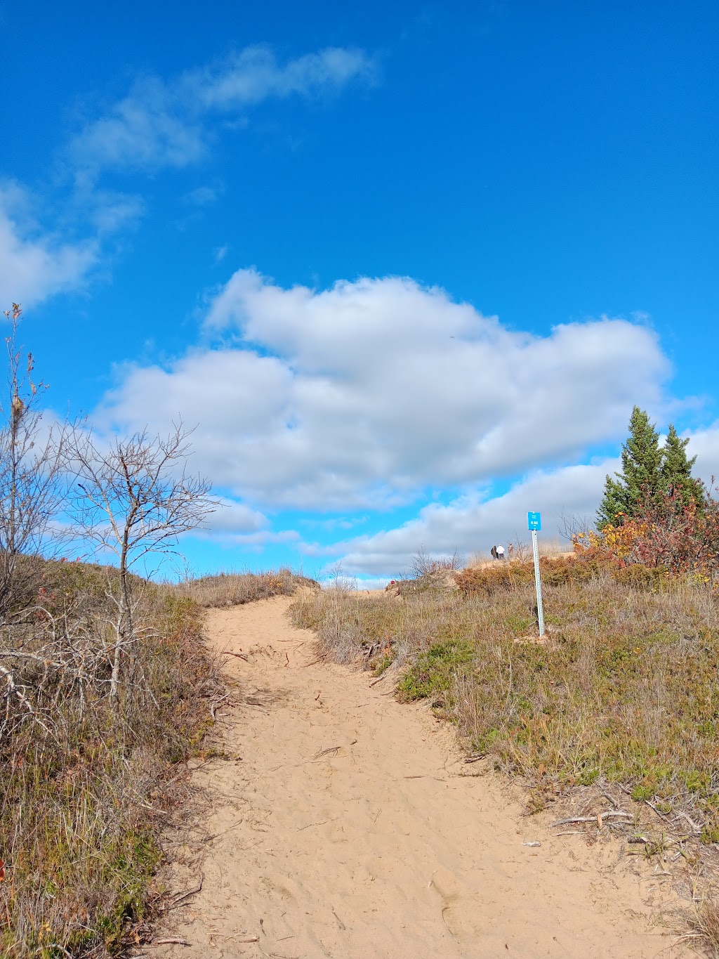Spirit Sands Wagon Outfitters | MB-5, Glenboro, MB R0K 0X0, Canada | Phone: (204) 526-7727