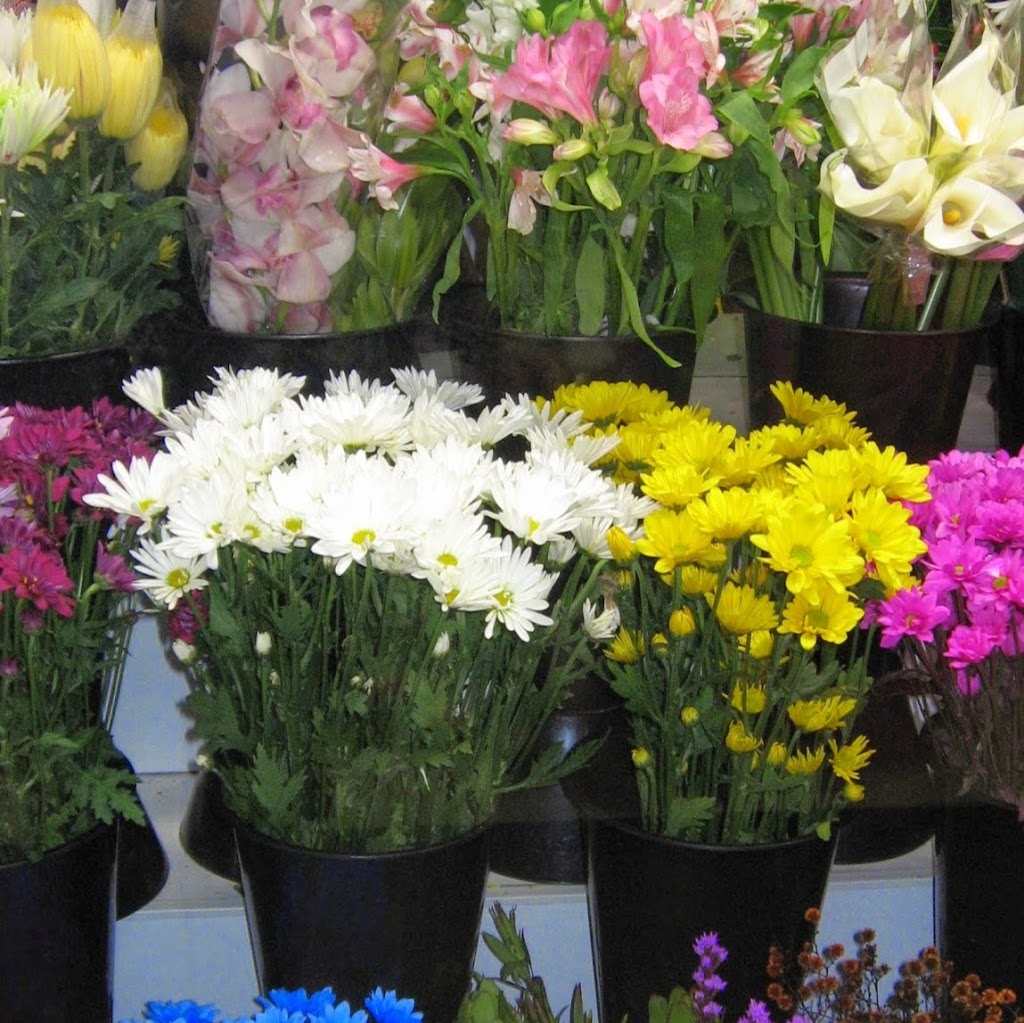 Fleuriste Bouquet de Plaisir | 760 Rue Saint-Paul, Saint-Rémi, QC J0L 2L0, Canada | Phone: (450) 454-7699