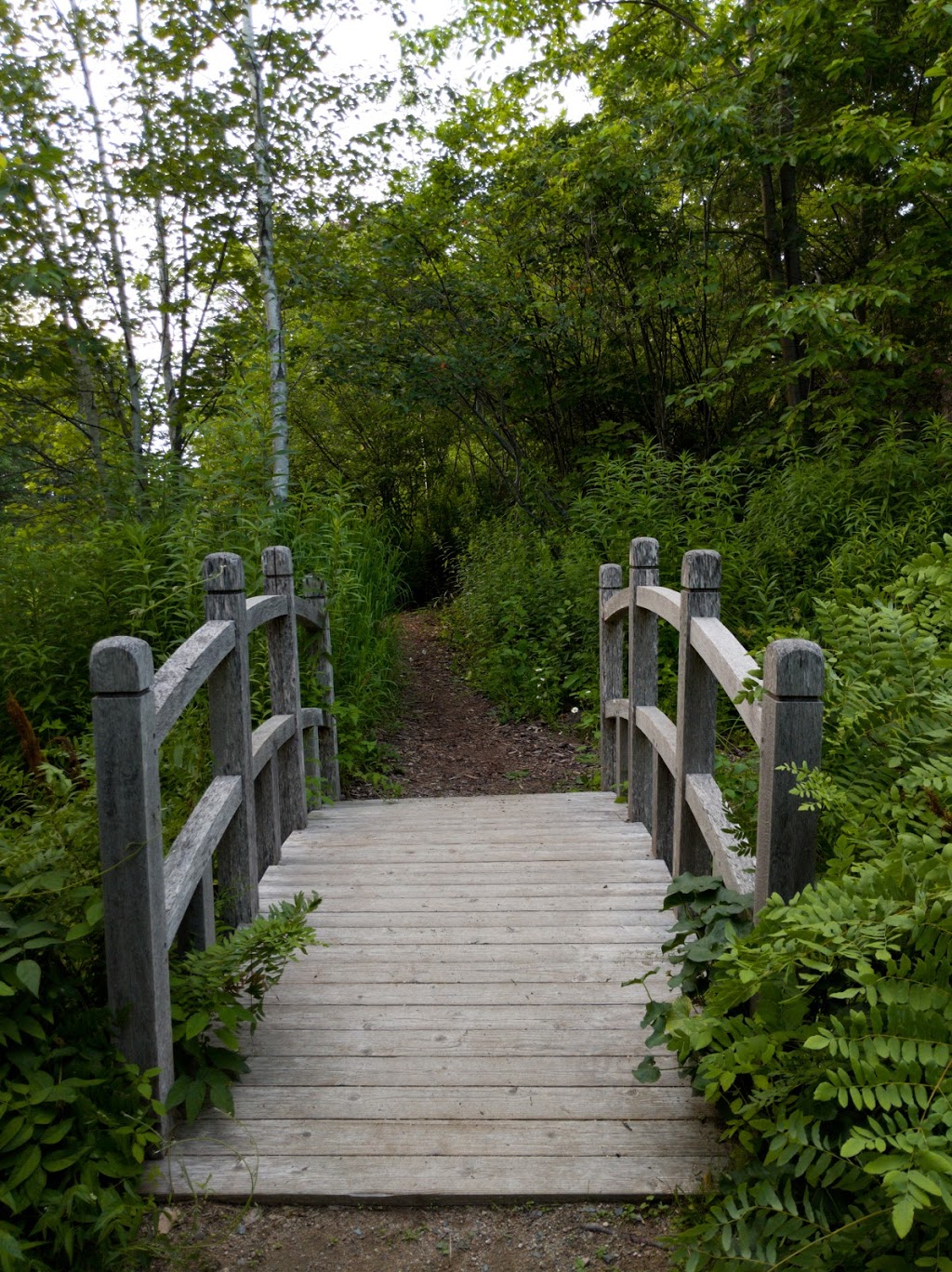 Harriet Irving Botanical Gardens | 32 University Ave, Wolfville, NS B4P 2R6, Canada | Phone: (902) 585-1917