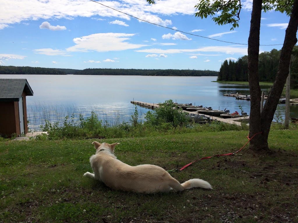 Cygnet Lake Camp | Minaki, ON P0X 1J0, Canada | Phone: (715) 271-2043