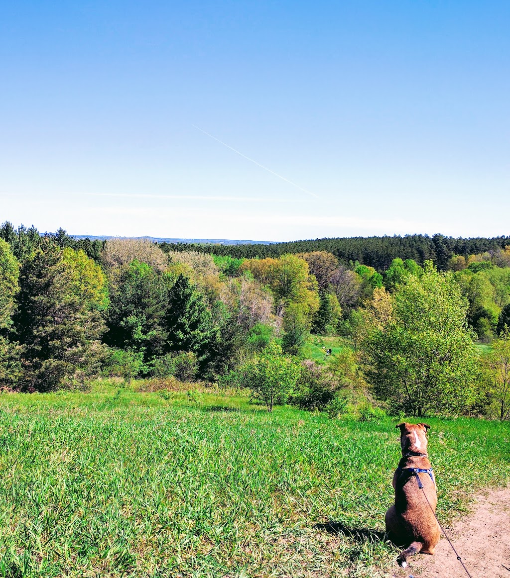 Countryside Preserve | Uxbridge, ON L9P 1R4, Canada