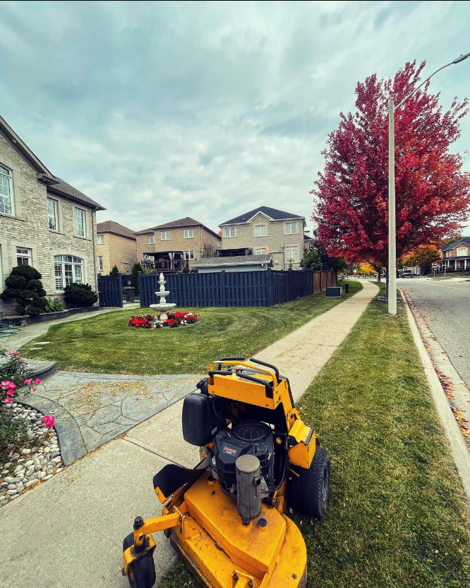 Absolute Lawn | point of interest | 485 Meadows Blvd, Mississauga, ON L4Z 1H1, Canada | 6479015102 OR +1 647-901-5102