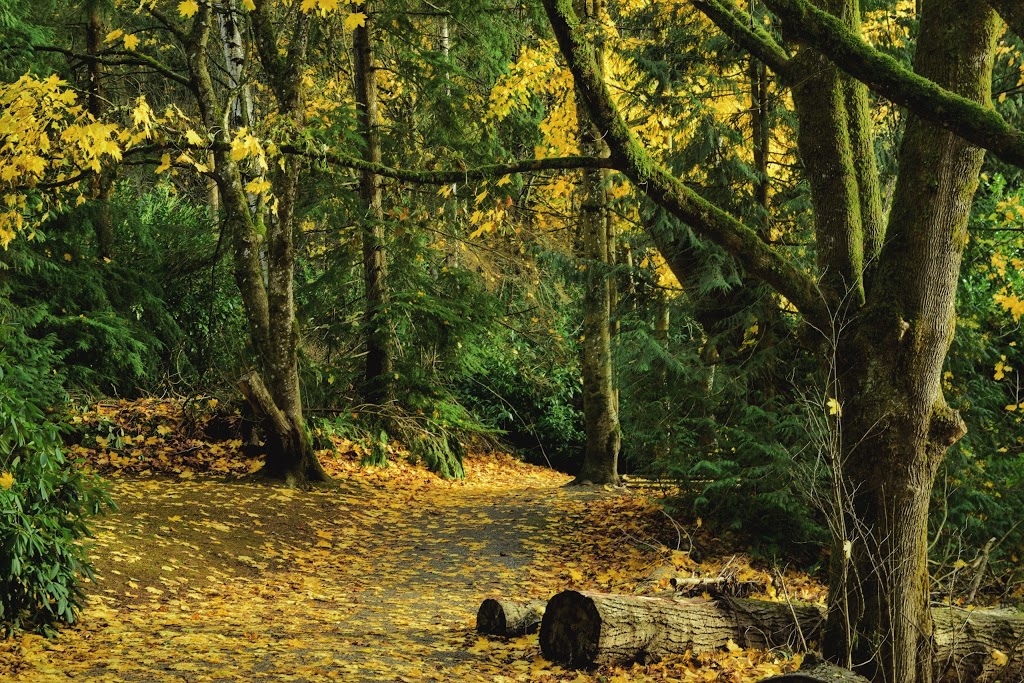 McKee Park | 35091 Skeena Ave, Abbotsford, BC V2S 7H5, Canada | Phone: (604) 859-3134