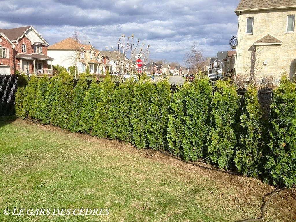 Le Gars Des Cèdres Chambly | 1001 Rue Patrick Farrar, Chambly, QC J3L 4N7, Canada | Phone: (514) 791-6331