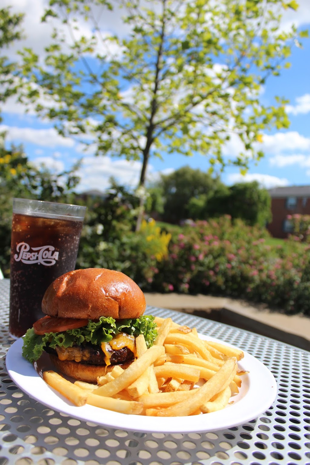 The Solar Cafe at Collegiate Village | 2937, 6 Affinity Ln, Cheektowaga, NY 14215, USA | Phone: (716) 831-6949