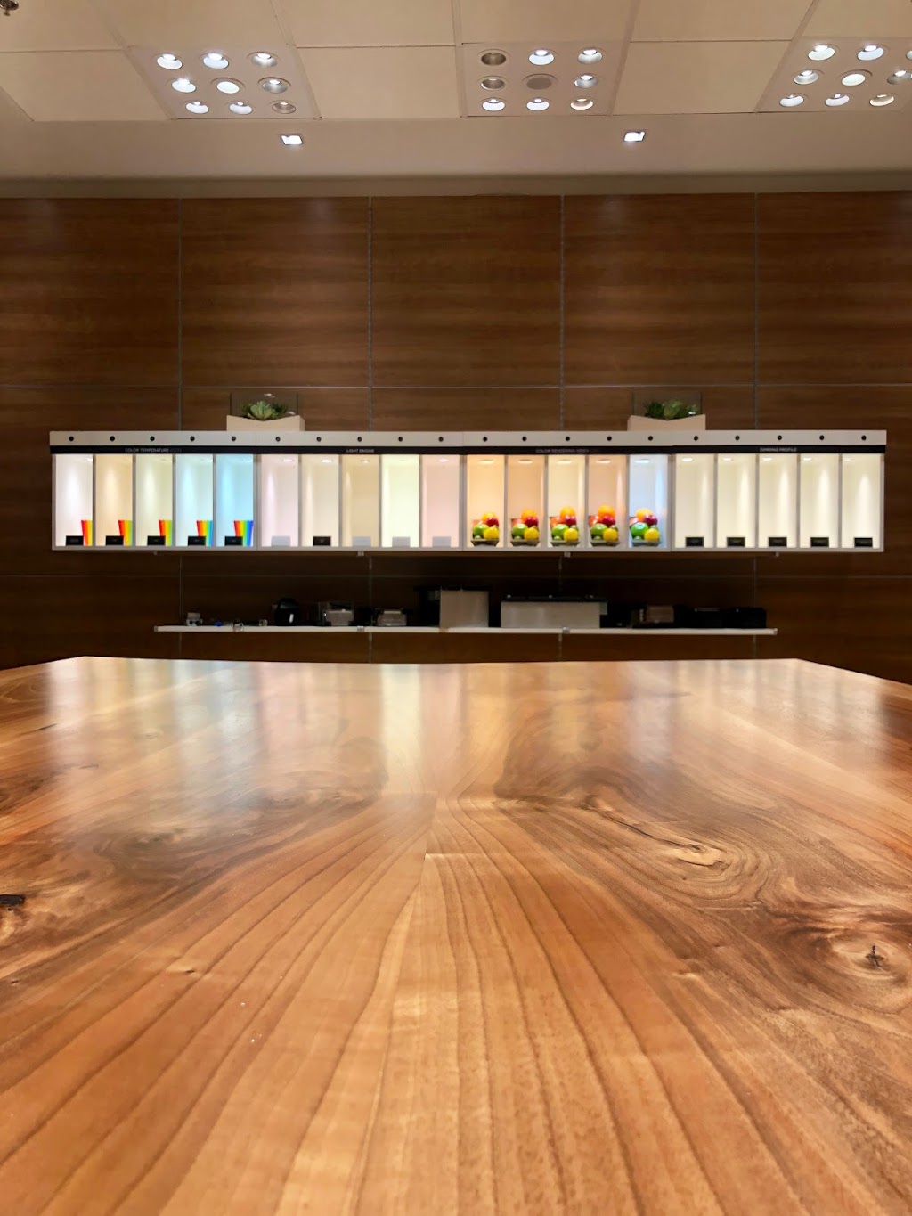 Lightheaded Lighting Ltd. | 572 Nicola Pl #1150, Port Coquitlam, BC V3B 0K4, Canada | Phone: (604) 464-5644