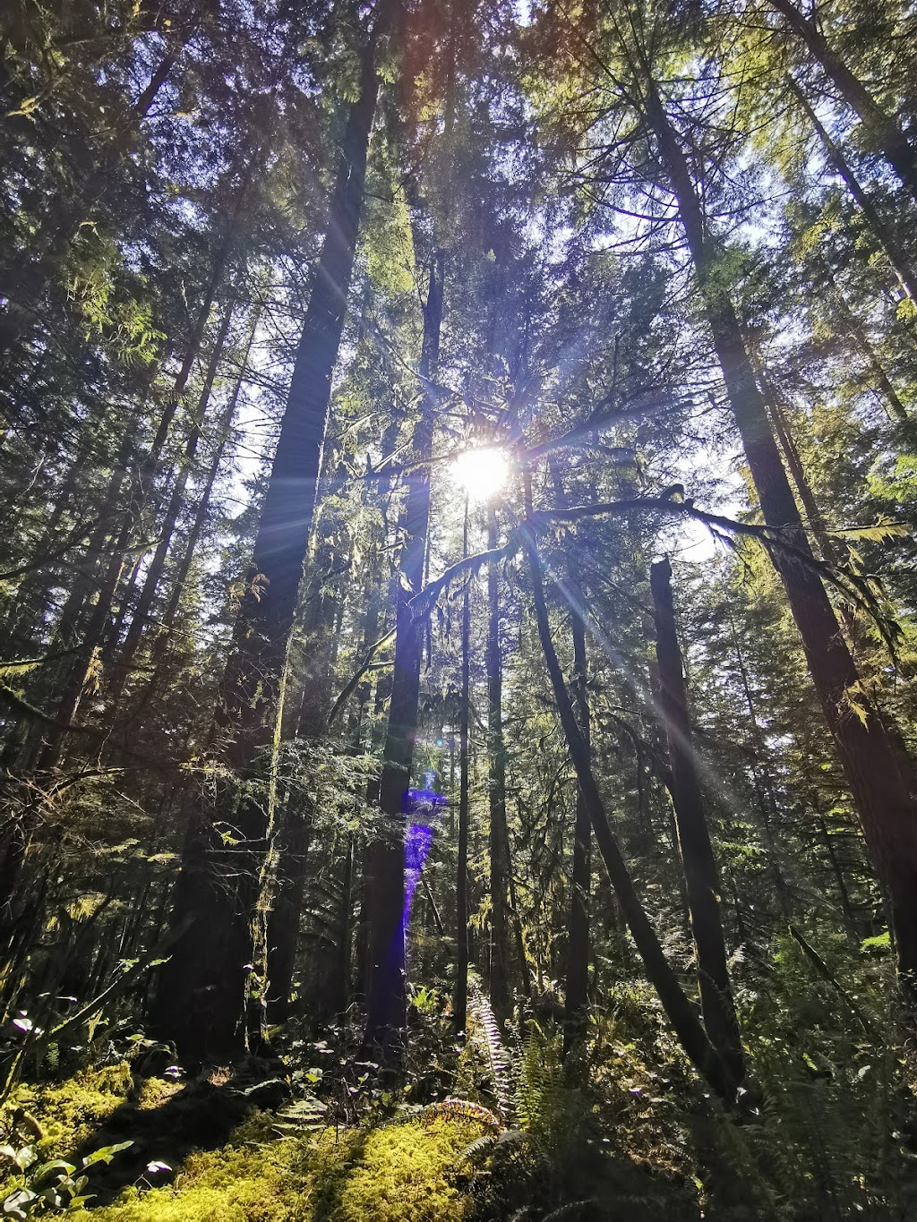 West Coast Wildlife Education and Conflict Management. | 3263 Beach Ave, Roberts Creek, BC V0N 2W2, Canada | Phone: (604) 865-0588