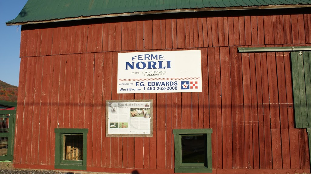 Les Alpagas de la Ferme Norli | 160 Route Pierre Laporte, Bromont, QC J2L 2V8, Canada | Phone: (450) 534-2305