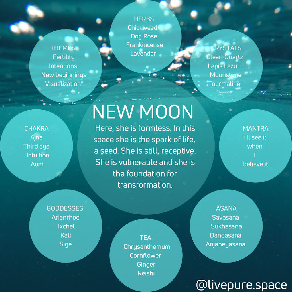 Livepure | 4 Rosehill Ct, Cambridge, ON N1S 3H9, Canada | Phone: (289) 828-1237