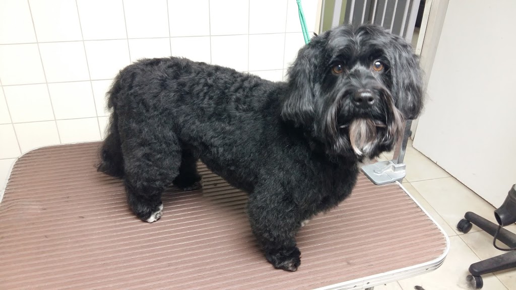 Sheridan Veterinary Services | 1398 Kingston Rd, Pickering, ON L1V 1B9, Canada | Phone: (905) 839-7061