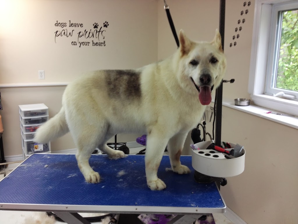 Four Muddy Paws Grooming | 1575 NS-325, Chelsea, NS B4V 7L6, Canada | Phone: (902) 685-3374