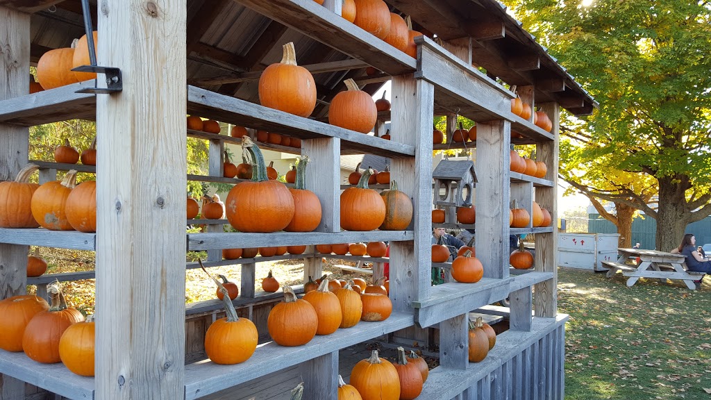 Millers Farm and Market | 6158 Rideau Valley Dr N, Manotick, ON K4M 1B3, Canada | Phone: (613) 692-2380