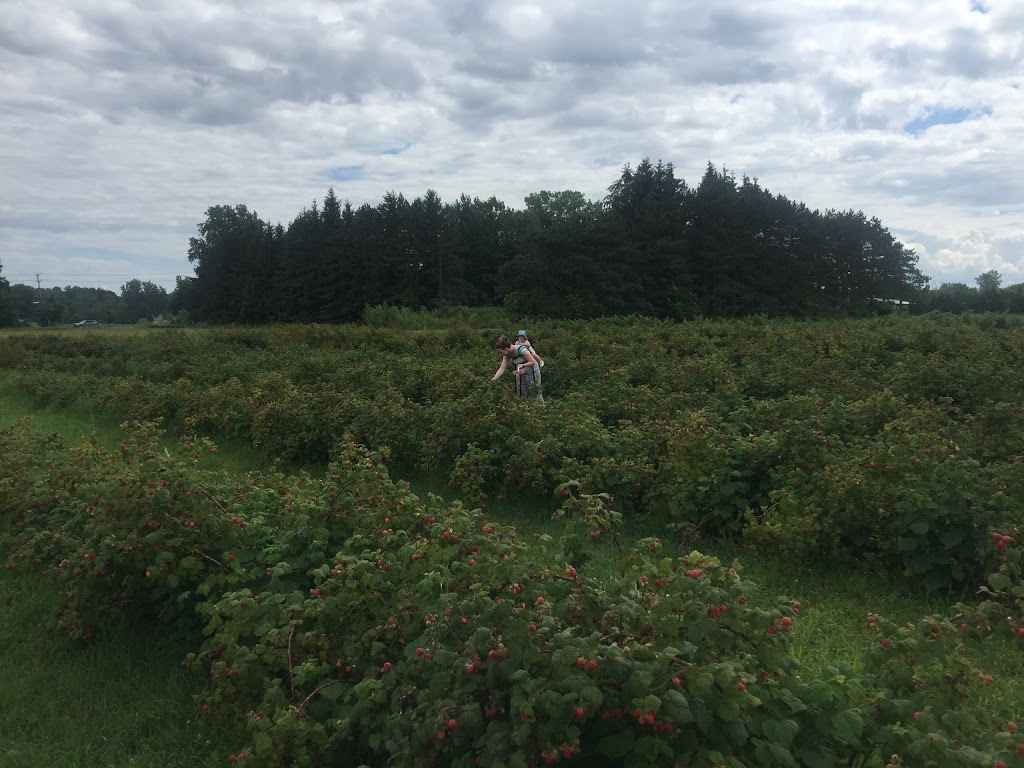 Jardin de la Vieille Grange | 303 Chemin de la Côte-Saint-Louis E, Blainville, QC J7E 4H5, Canada | Phone: (450) 437-6266