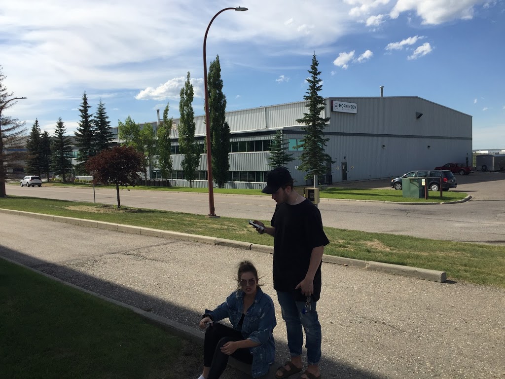Canada Weather Svc | 1441 Aviation Park NE, Calgary, AB T2E 8M7, Canada | Phone: (403) 299-7878