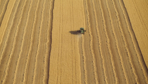Cargill | 1 AB-56, Camrose County, AB T4V 1X2, Canada | Phone: (780) 672-4710