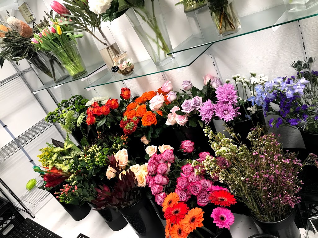 CD Bloom | 2 Elma St W, Okotoks, AB T1S 1J7, Canada | Phone: (403) 982-4646