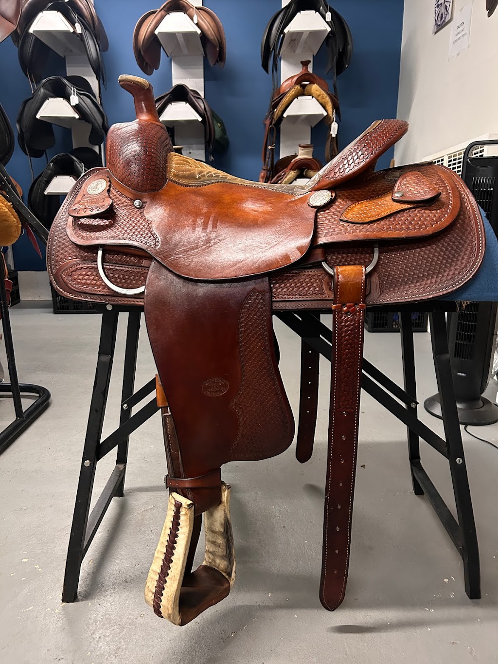 Evolution Equestrian Co. | 5352 N Island Hwy Unit C, Courtenay, BC V9J 1S9, Canada | Phone: (250) 207-2747