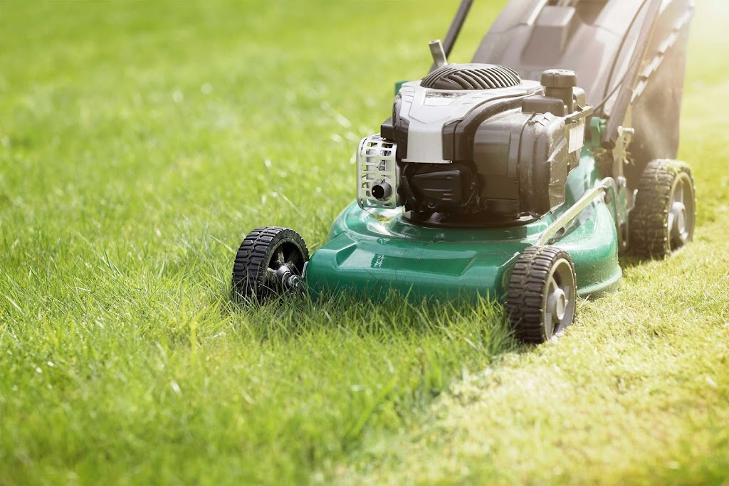 Green Thumb Langley | 87 208 St, Langley Twp, BC V2Y 2C4, Canada | Phone: (604) 621-7725