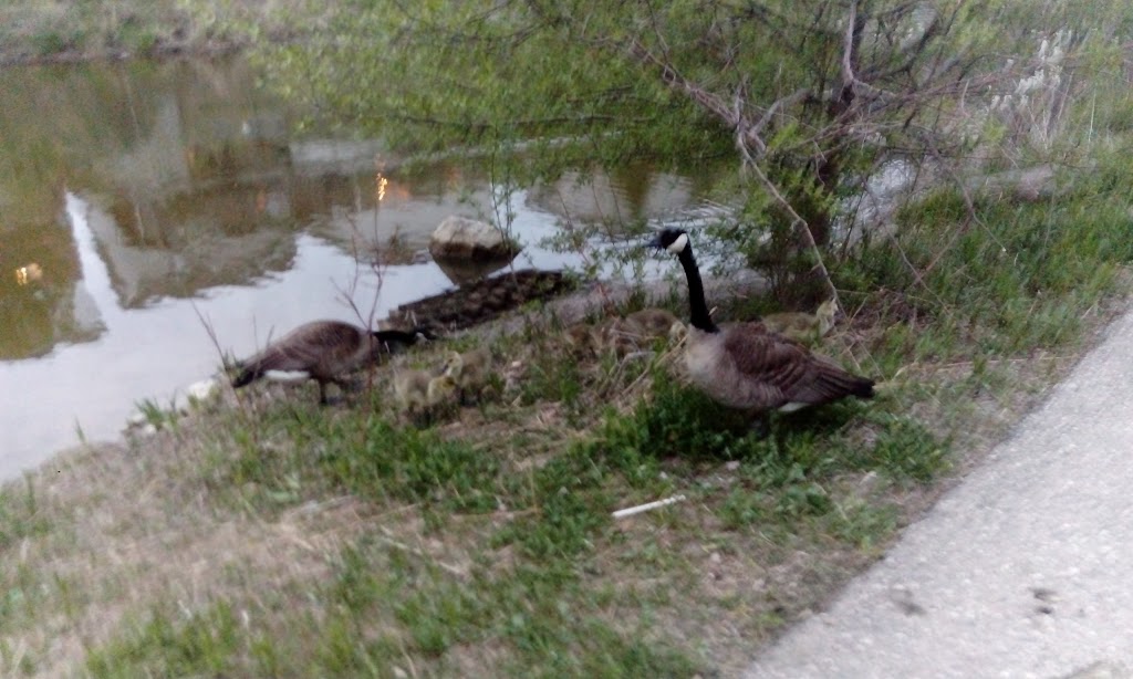 Detweiler Greenway | Highland West, Kitchener, ON N2N, Canada