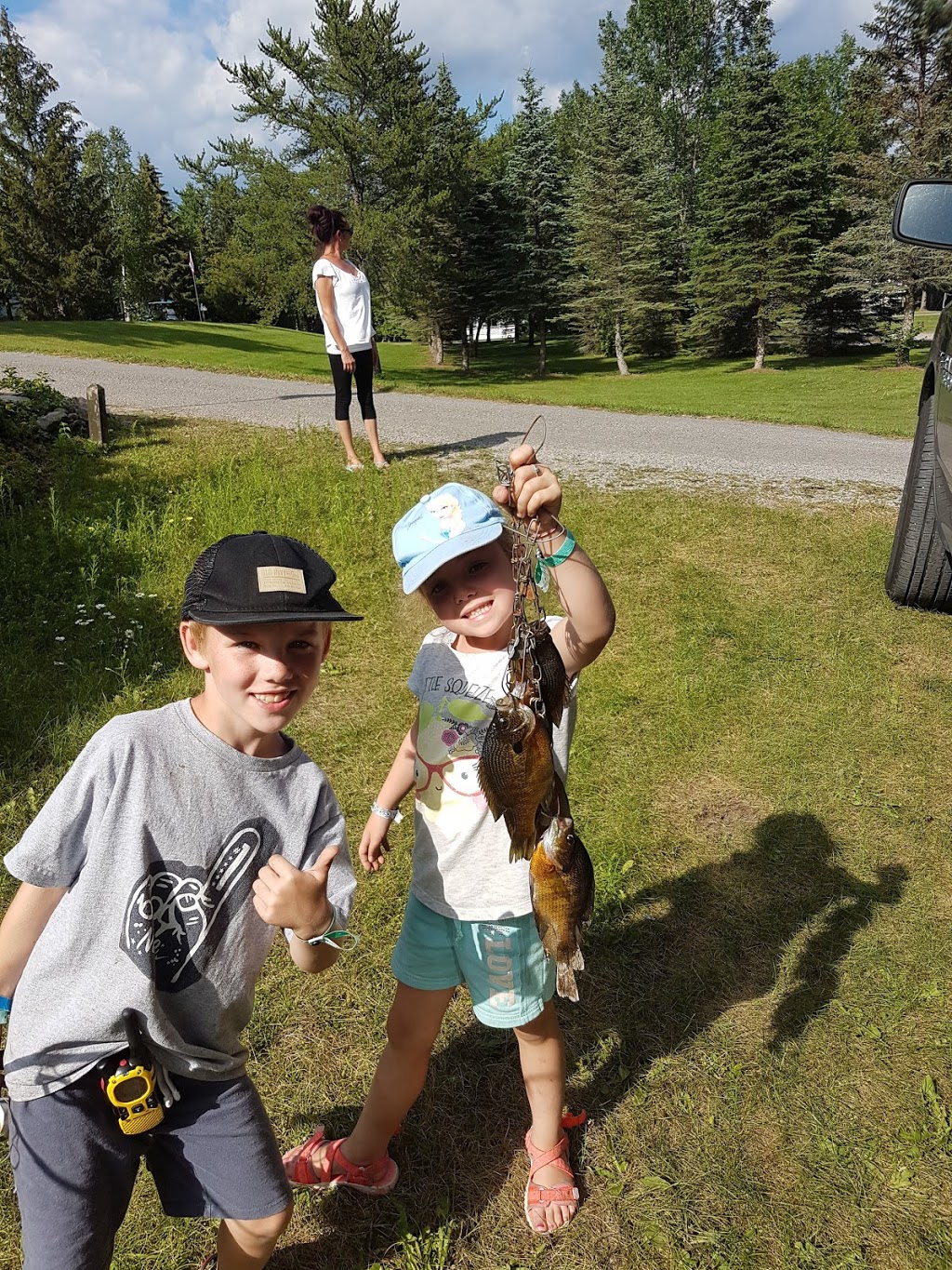 Pigeon Lake Trailer Park Inc | 1418 Traceys Hill Rd, Lindsay, ON K9V 4R5, Canada | Phone: (705) 799-5376