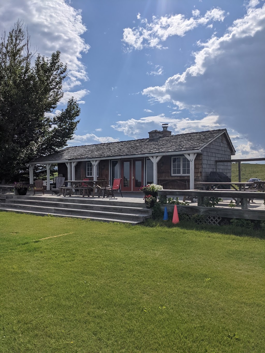 Black Diamond Land & Cattle Co. | Range Rd 25A, Millarville, AB T0L 1K0, Canada | Phone: (403) 408-7585