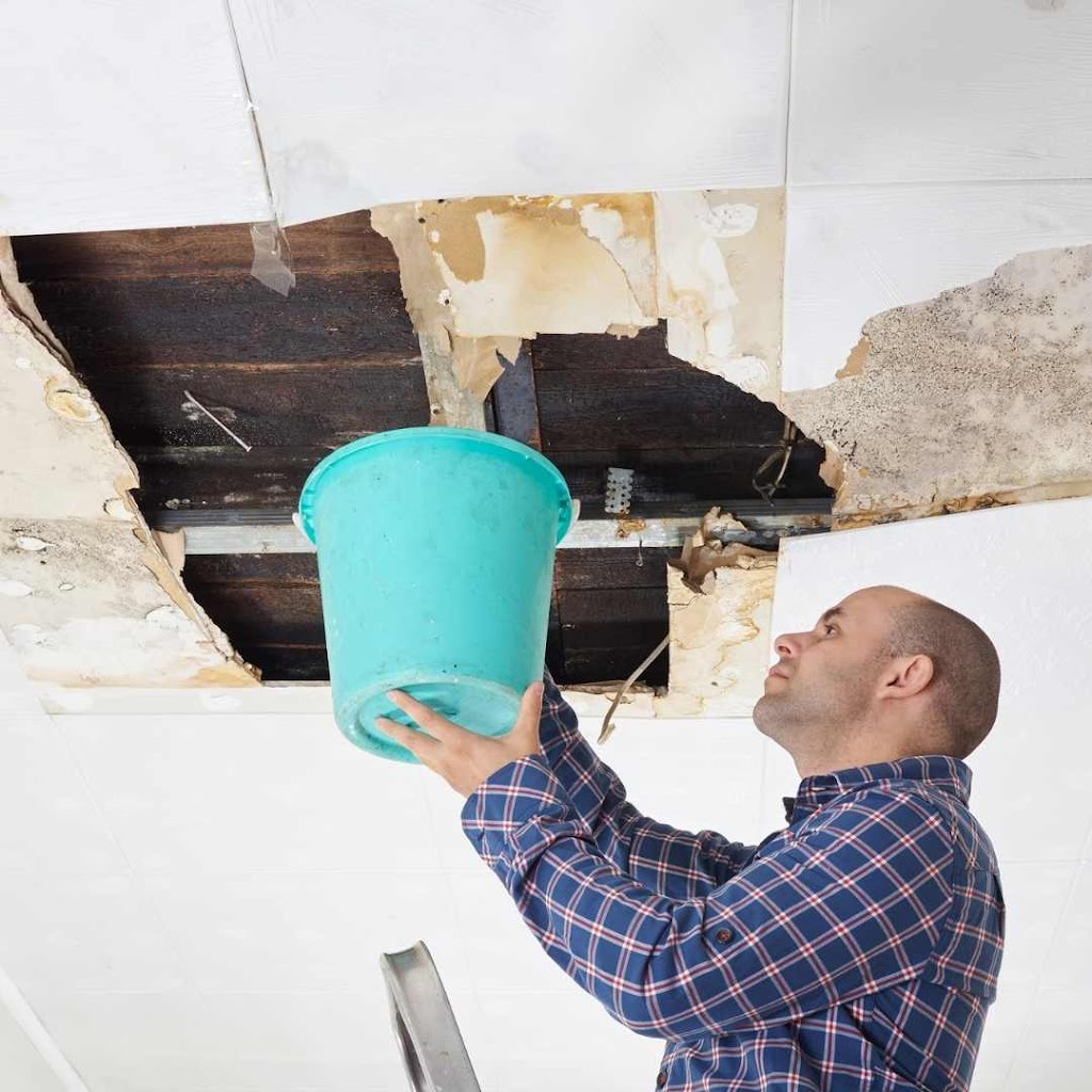 Handyman Abbotsford | 33710 Marshall Rd #313, Abbotsford, BC V2S 1L3, Canada | Phone: (604) 243-2499