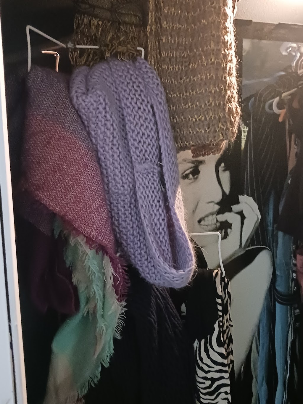 Sheps Closet | 196 Church St, Georgina, ON L4P 1J7, Canada | Phone: (416) 788-5336