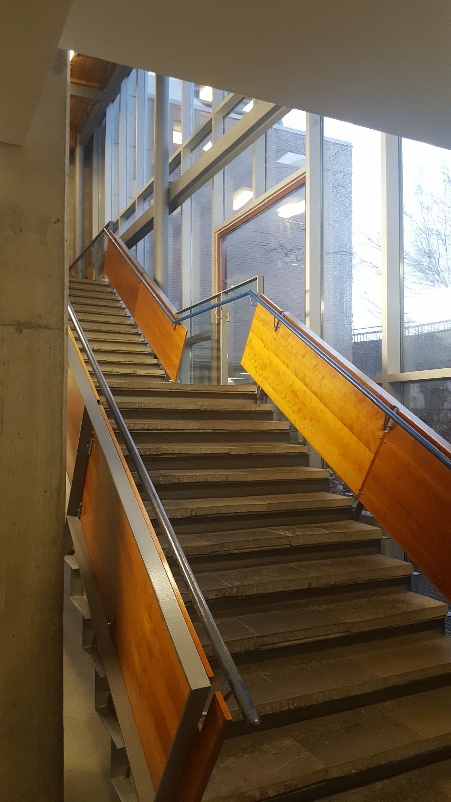 Memorial Pool And Health Club 44 Montgomery Rd, Etobicoke, ON M8X 1Z4