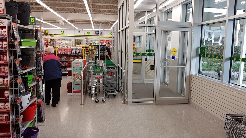 Dollarama | Parkdale Plaza, 462 Albert St, Waterloo, ON N2L 3V4, Canada | Phone: (519) 884-5324