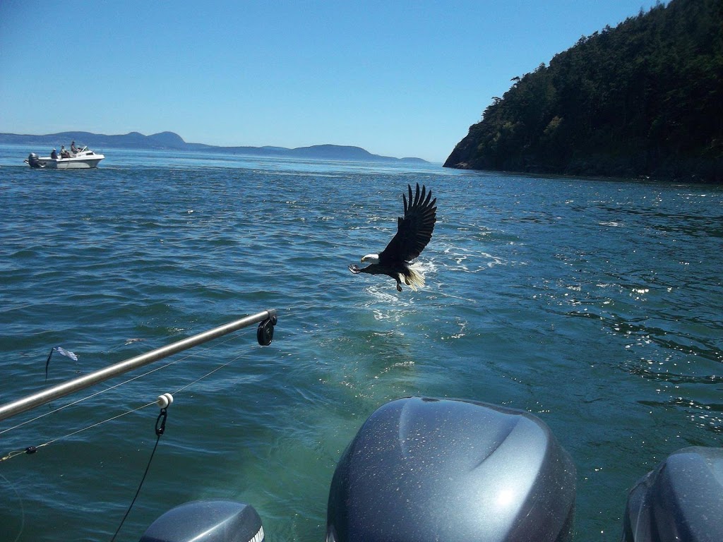 R&R Fishing Charters | 2201 Skyline Way, Anacortes, WA 98221, USA | Phone: (360) 941-6515