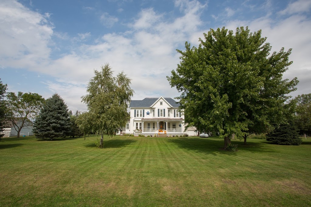 Darren Cross Realty | 650 King St E, Oshawa, ON L1H 1G5, Canada | Phone: (905) 447-3919