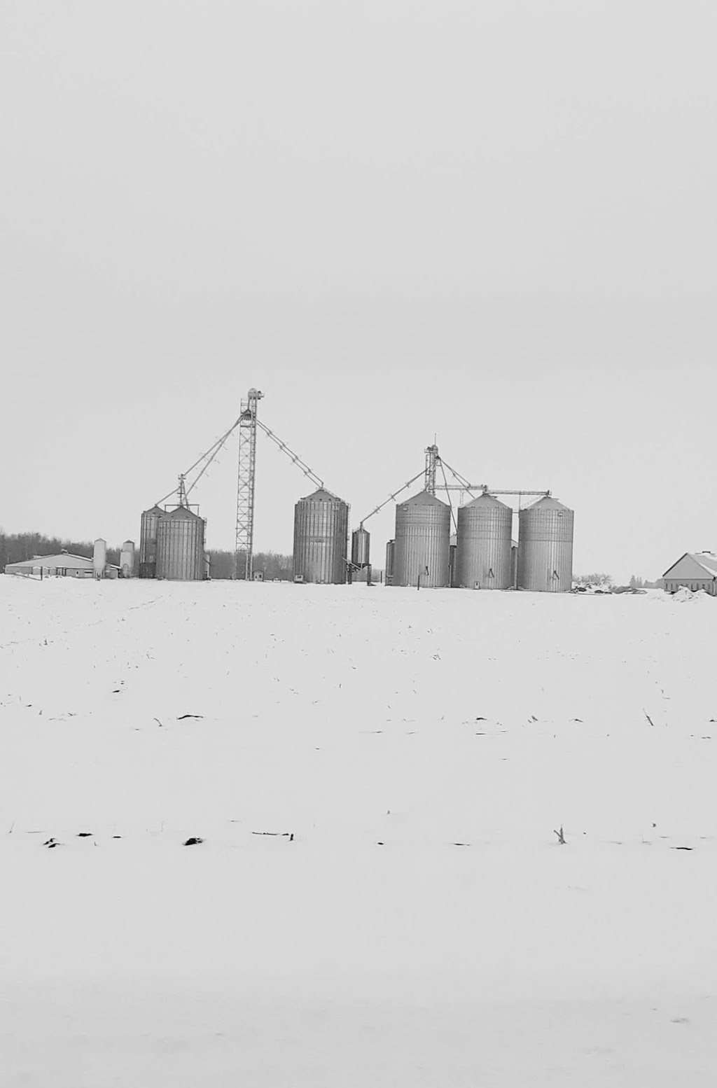 V.D.B. Grains Ltd. | 6448 Perth Line 34, Mitchell, ON N0K 1N0, Canada | Phone: (519) 348-4560