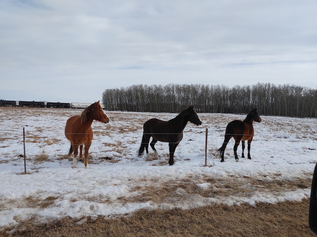 Bruce Stampede | AB-14, Bruce, AB T0B 0R0, Canada | Phone: (780) 688-3735