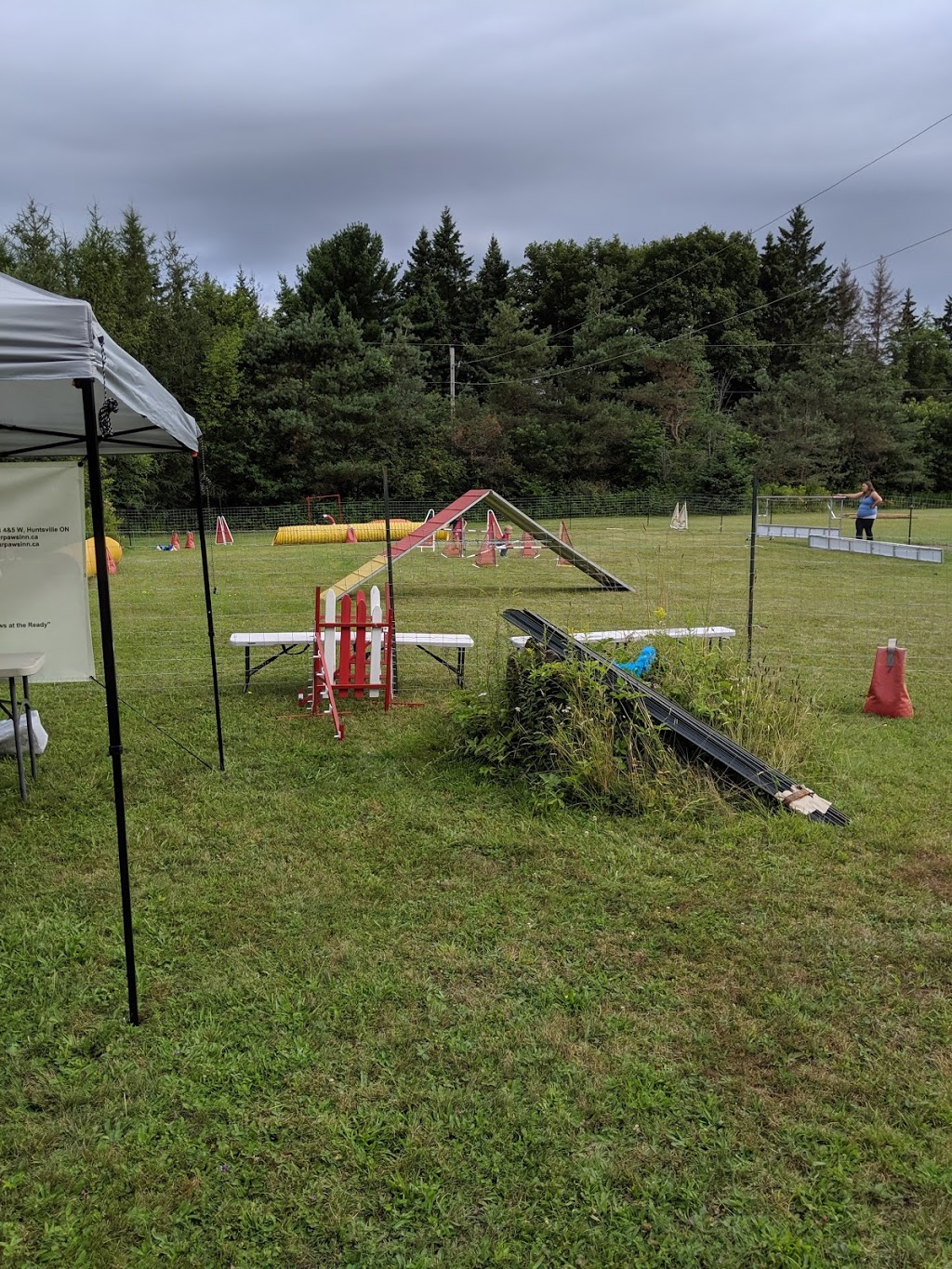 Four Paws Ready Inn - Boarding & Athletics | 291 Concession Road 4 & 5 W, Huntsville, ON P1H 2J3, Canada | Phone: (705) 789-8302
