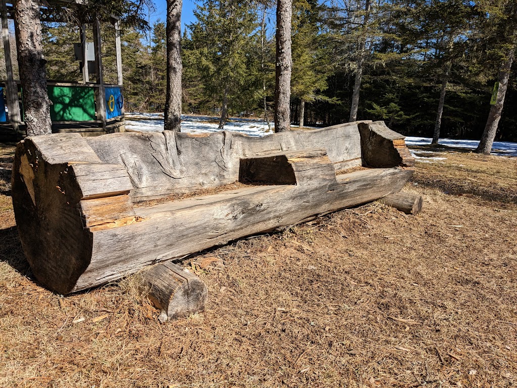 Nature Learning and Play Space | 12014 NS-224, Middle Musquodoboit, NS B0N 1X0, Canada | Phone: (902) 384-3420
