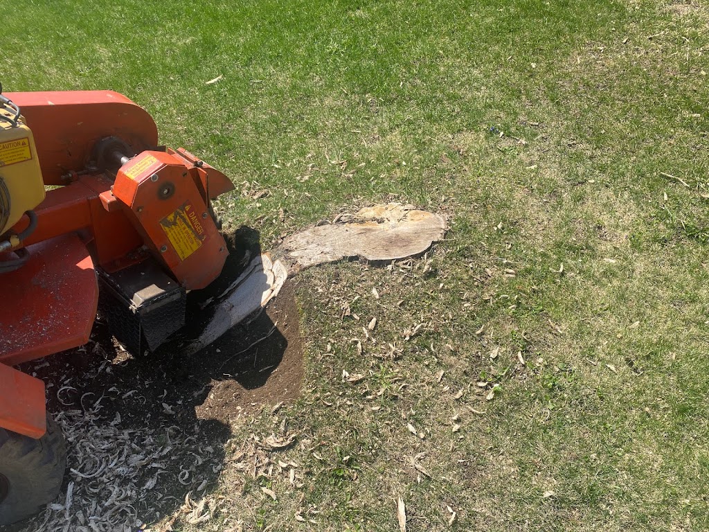 Dynamic Stump Grinding | 9 Dietz St, Mildmay, ON N0G 2J0, Canada | Phone: (204) 939-3371