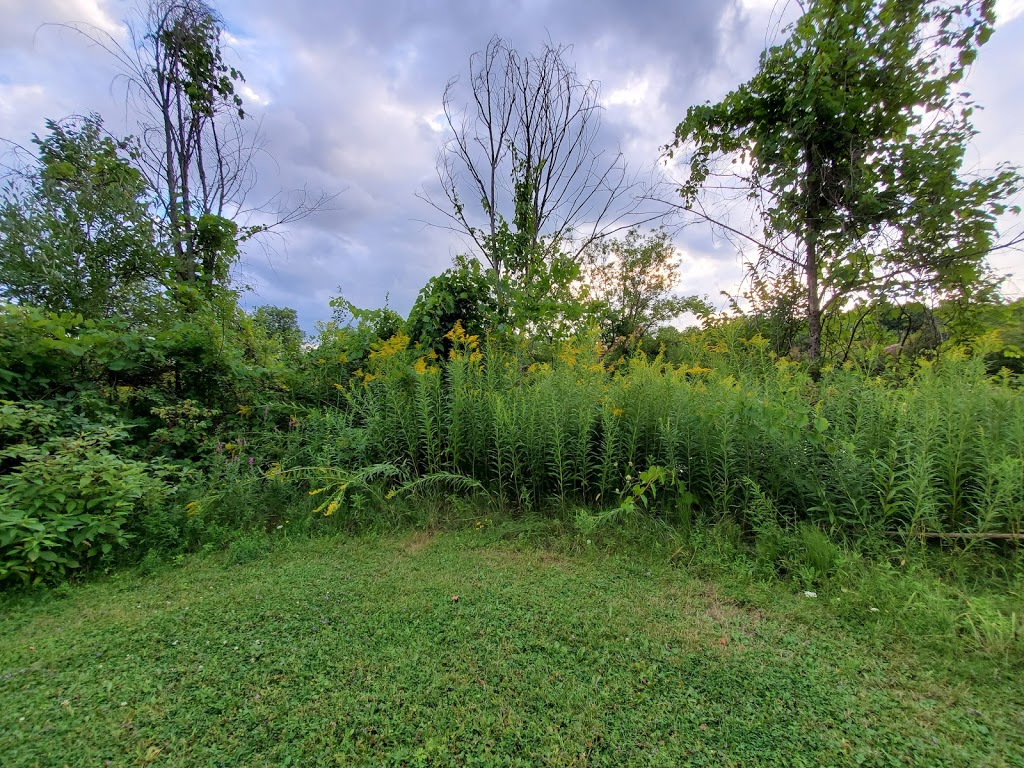 Rideau Canal, Lock 18 - Lower Nicholsons | Nicholson Ln, Merrickville, ON K0G 1N0, Canada | Phone: (613) 269-4960