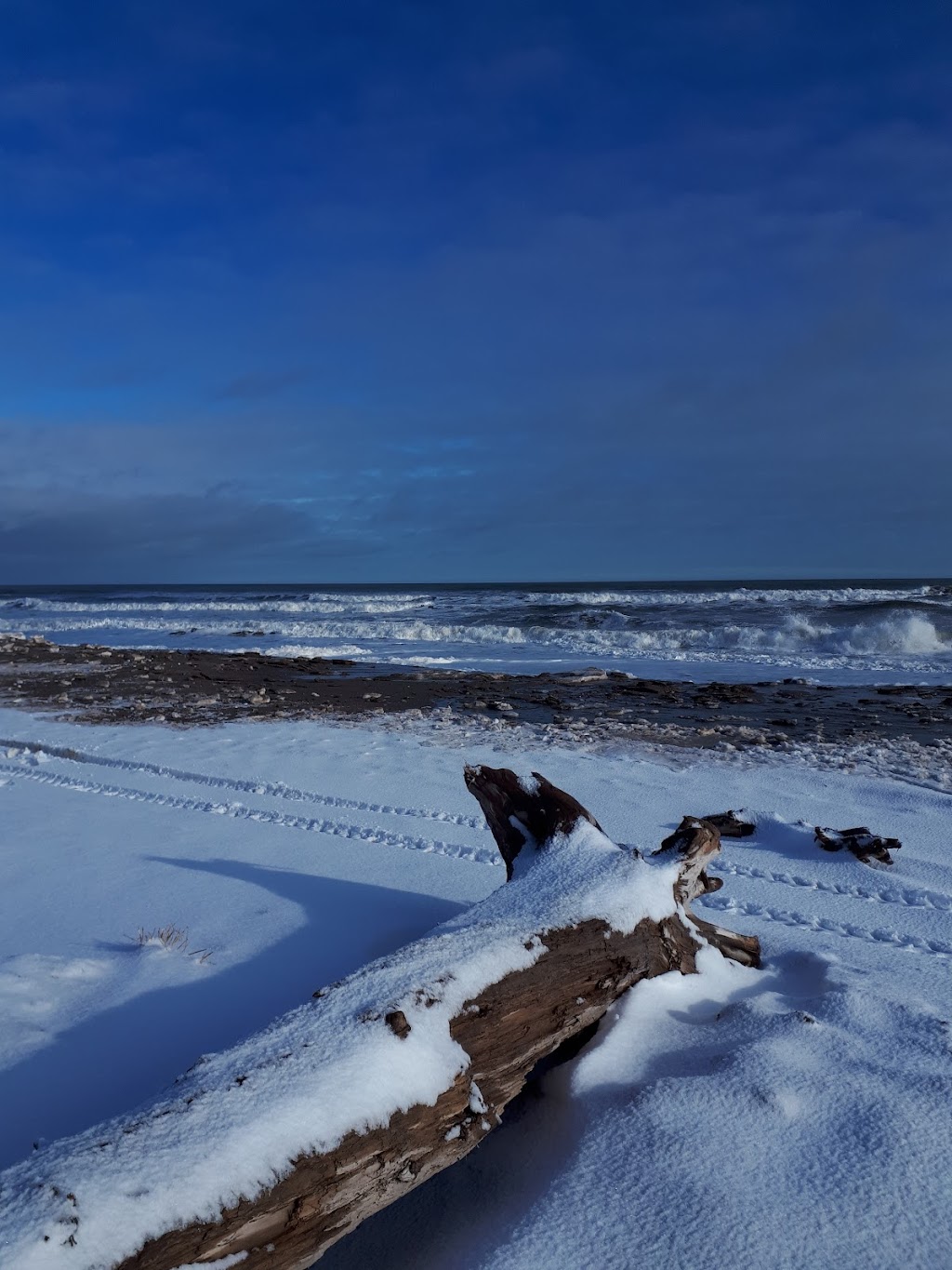 Camping De La Dune | 490 Val Comeau Rd, Val-Comeau, NB E1X 1J6, Canada | Phone: (506) 395-9148