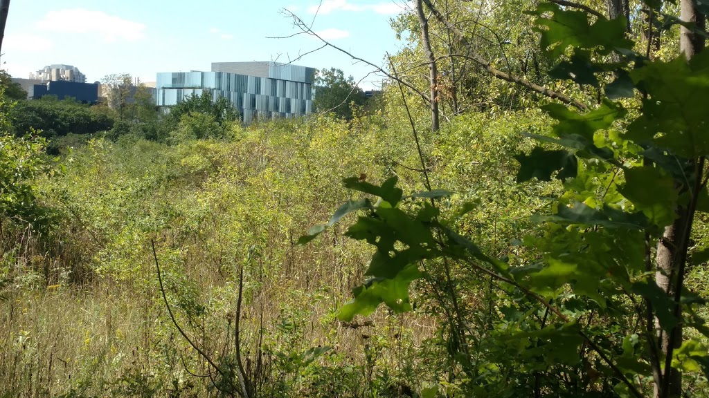 UTM Nature Trail | Mississauga, ON L5L 1J7, Canada