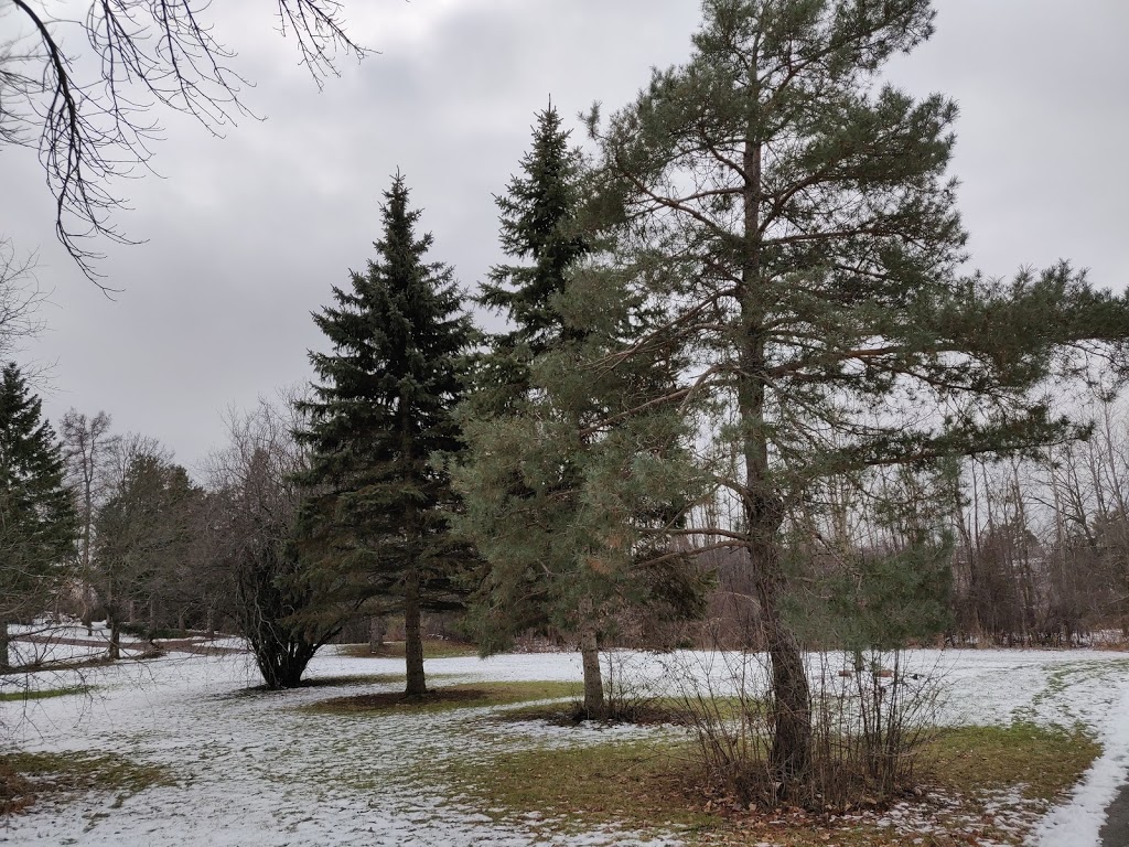Jessie Vanek Park | Sunset Beach Rd, Richmond Hill, ON L4E 3G2, Canada | Phone: (905) 771-2525