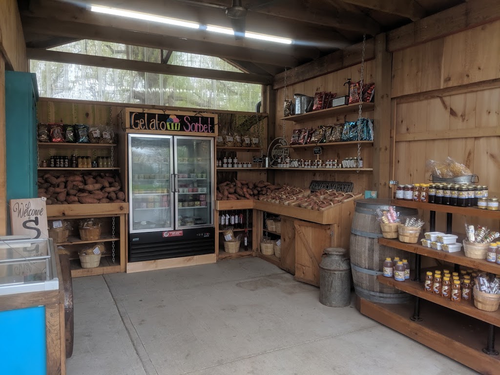 Willow Tree Market | North, 1827 Division Rd, Kingsville, ON N9Y 2Y9, Canada | Phone: (519) 712-8981