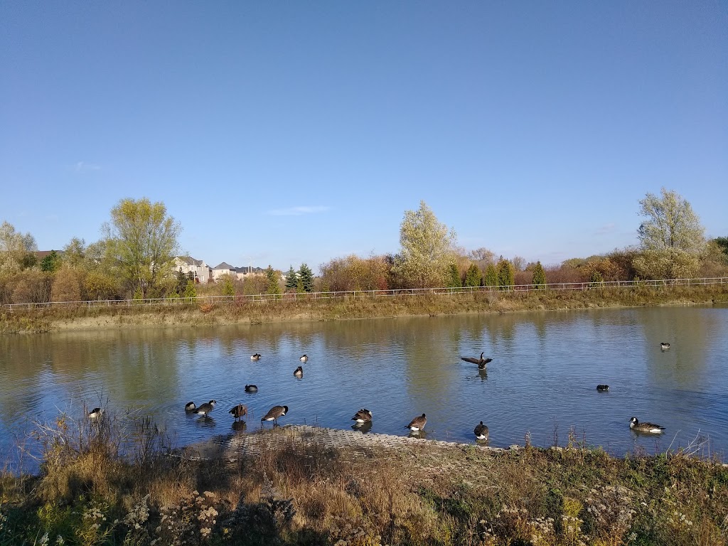 Debonair Parkette | Richmond Hill, ON L4C, Canada