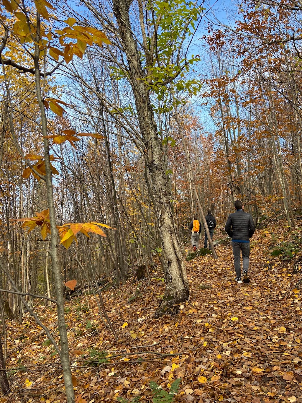 Mont Foster | Chem. Paramount, Bolton-Ouest, QC J0E 2E0, Canada | Phone: (450) 297-1145