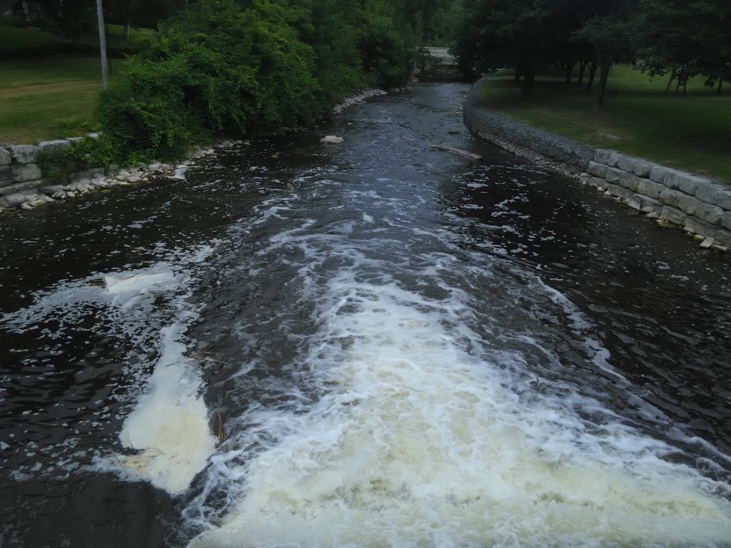 Pefferlaw Dam Conservation Area Pefferlaw, ON L0E 1N0, Canada