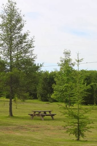 Le Domaine Équestre Gaïa - Centre équestre, pension pour chevaux | 100 Rang Saint-Pierre E, Sherrington, QC J0L 2N0, Canada | Phone: (514) 814-6848