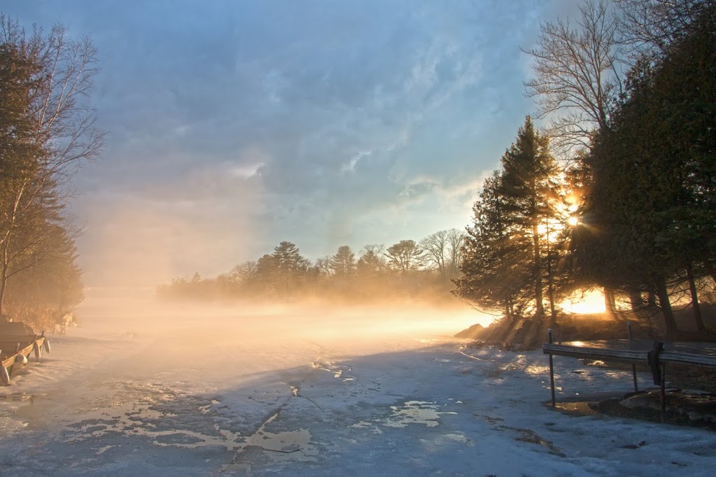 Buffalo Bay Cottage | Fire Rte 95A, Kawartha Lakes, ON K0M 1A0, Canada | Phone: (416) 839-9063