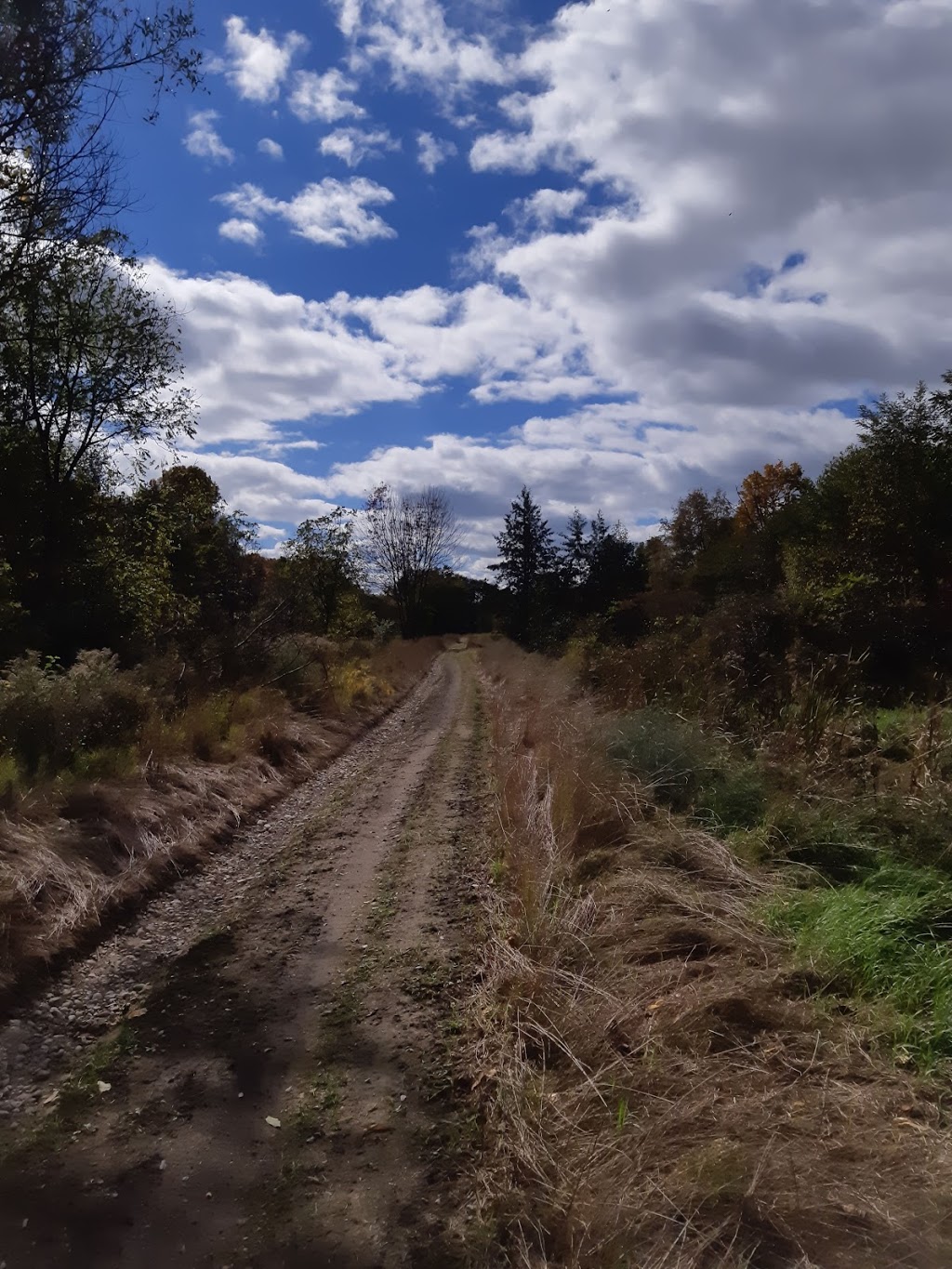 Erie Shores Wind Farm | 55094 Glen Erie Line, Vienna, ON N0J 1Z0, Canada | Phone: (416) 607-5009
